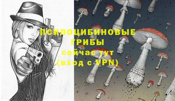 МДПВ Арсеньев