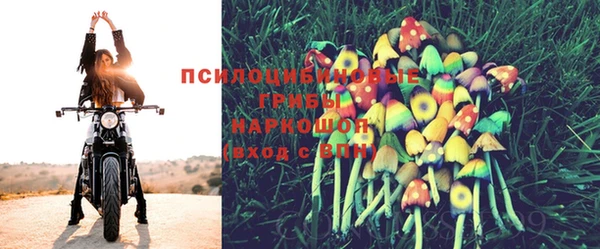 МДПВ Арсеньев