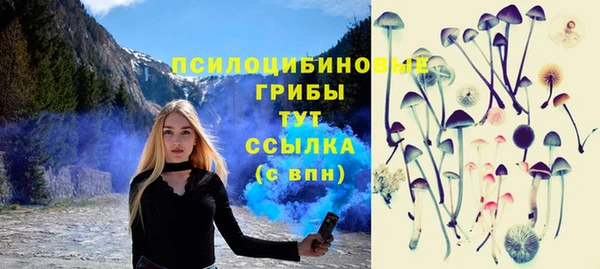 МДПВ Армянск